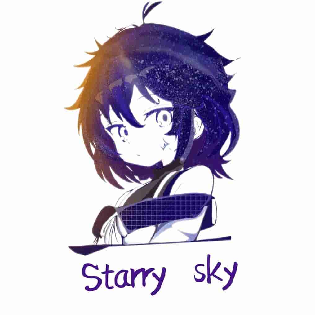 MC 星空服务器